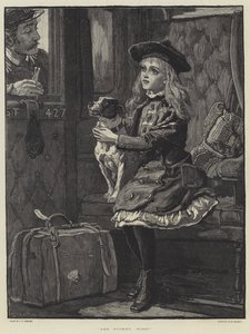 Hundeticket, Fräulein!